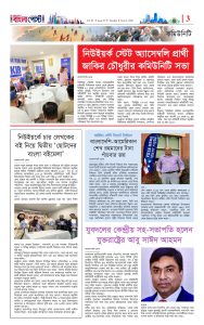 পৃষ্ঠা ৩